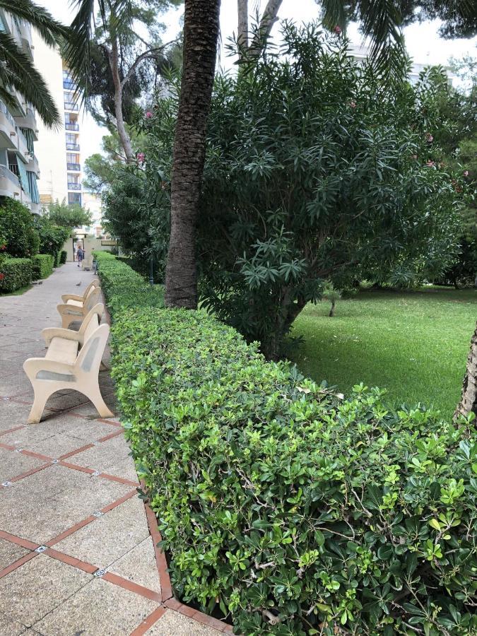 Apartamento Parque 2 Playa De Gandia Екстер'єр фото